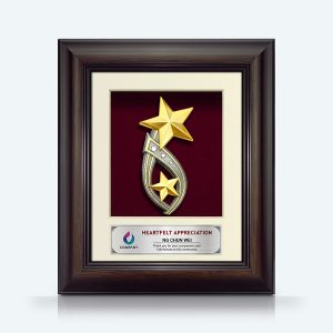 Double Star Awards