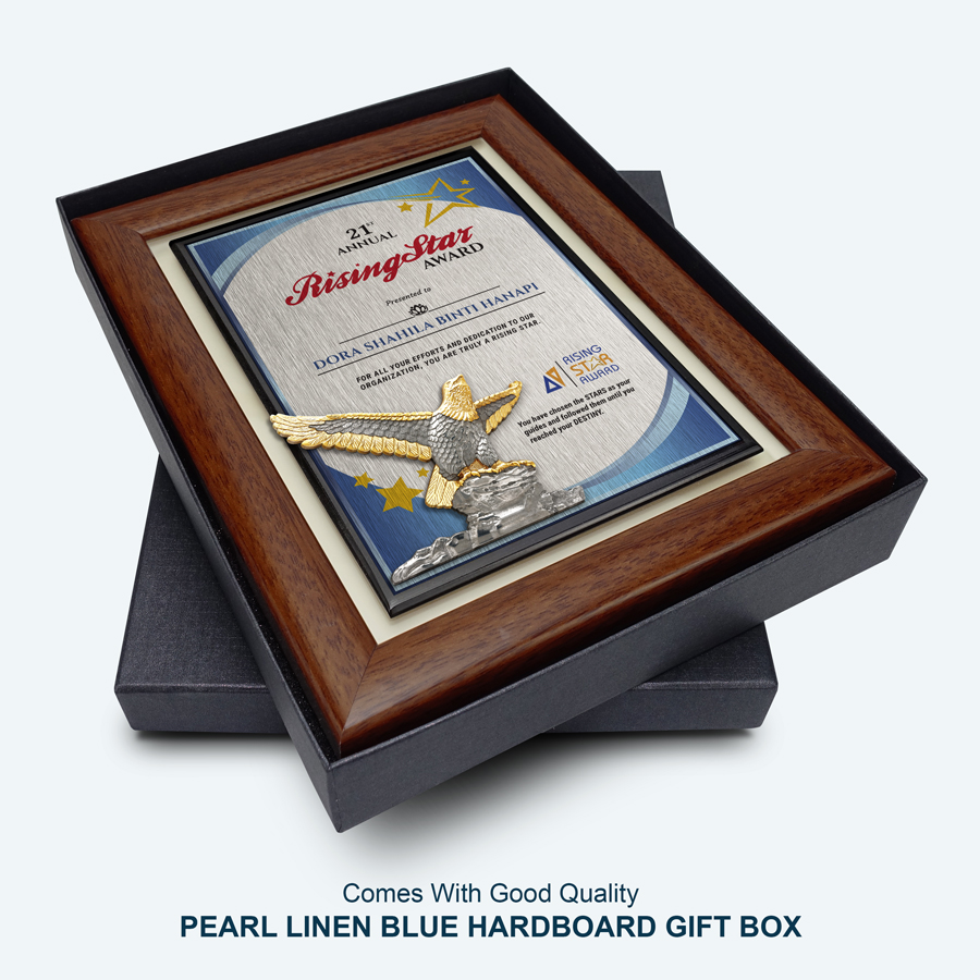 Employee Rising Star Award - Pewter Eagle - Image 4
