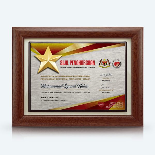 Sijil Penghargaan Covid-19 , Pewter Star