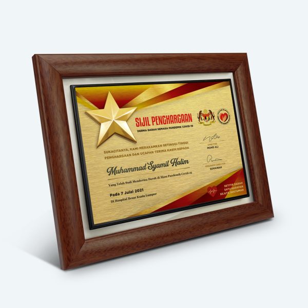 Sijil Penghargaan Covid-19 , Pewter Star - Image 2