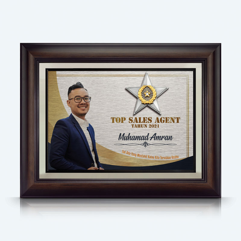 Top Sales Award - Gold Plated Pewter Star Awards With Crystal Signature Plus