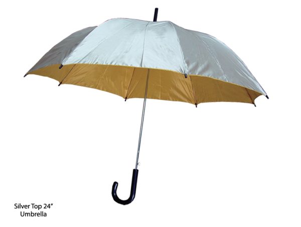 Silver Top 24 inch Umbrella