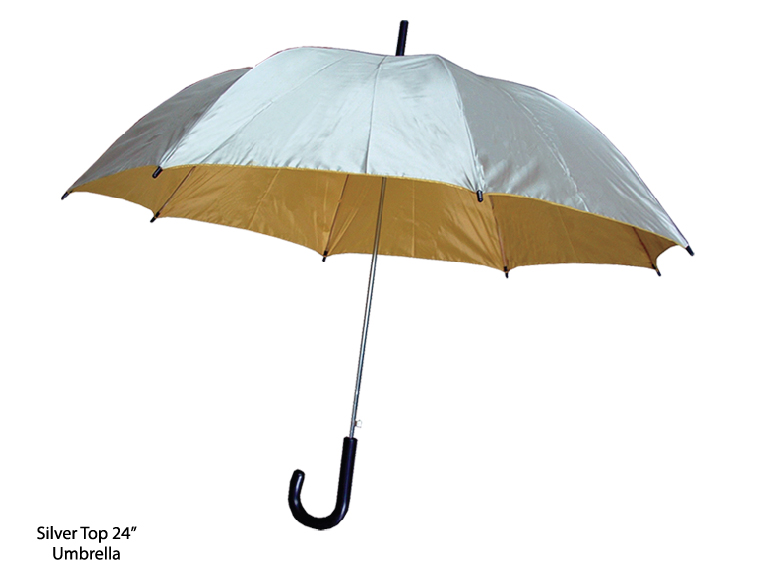 Silver Top 24 inch Umbrella