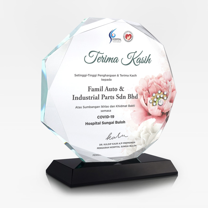 7" x 7.8" Round Crystal Plaque with Crystal Signature Plus - Image 2