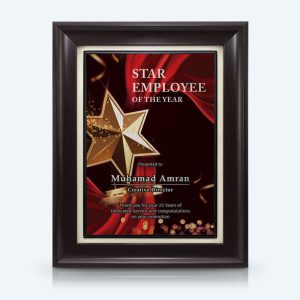 9" x 11" Award Plaque (Full Colour) - Star Employee of The Year Awards