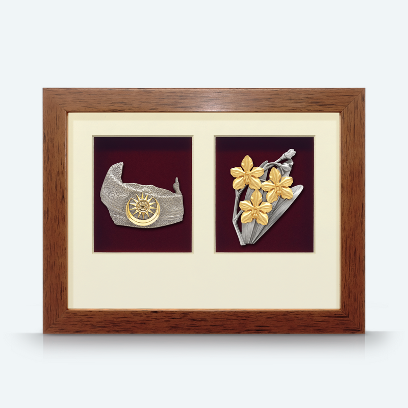 2 in 1 Solid Frame
