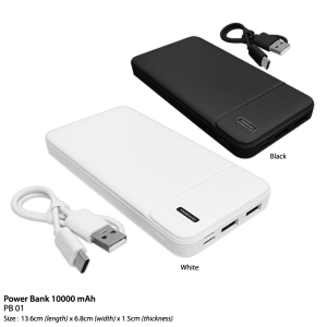 Power Bank (10,000 mAh)