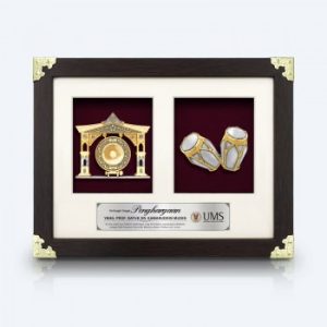 Frame 2 In 1