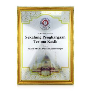 Classic Gold Certificate Frame